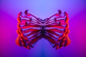 A Trip Through Time: The History and Culture of Psychedelics