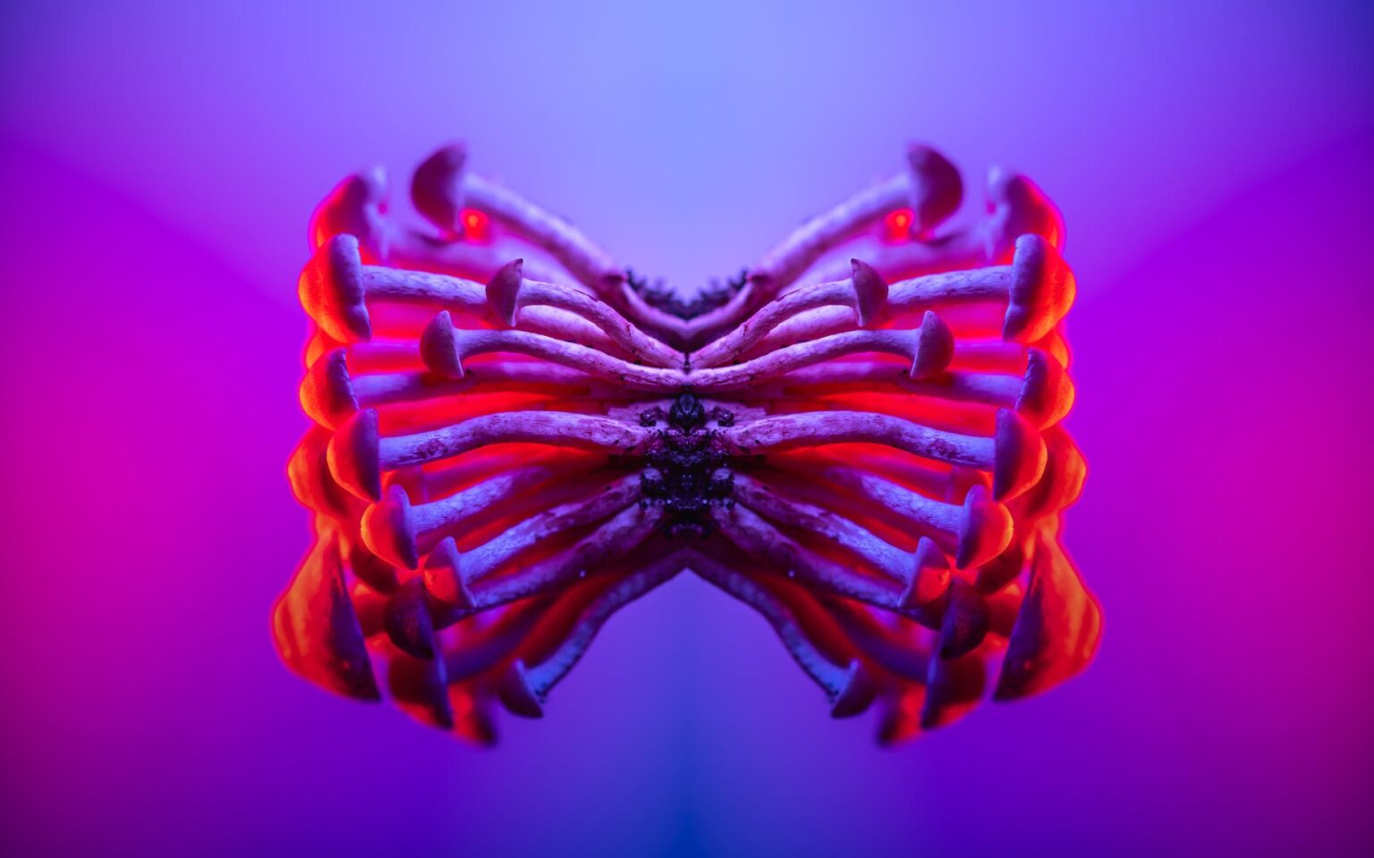 A Trip Through Time: The History of Psychedelic Art – Psychedelic Artists